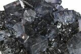 Purple Cubic Fluorite Crystals on Sphalerite - Elmwood Mine #244238-1
